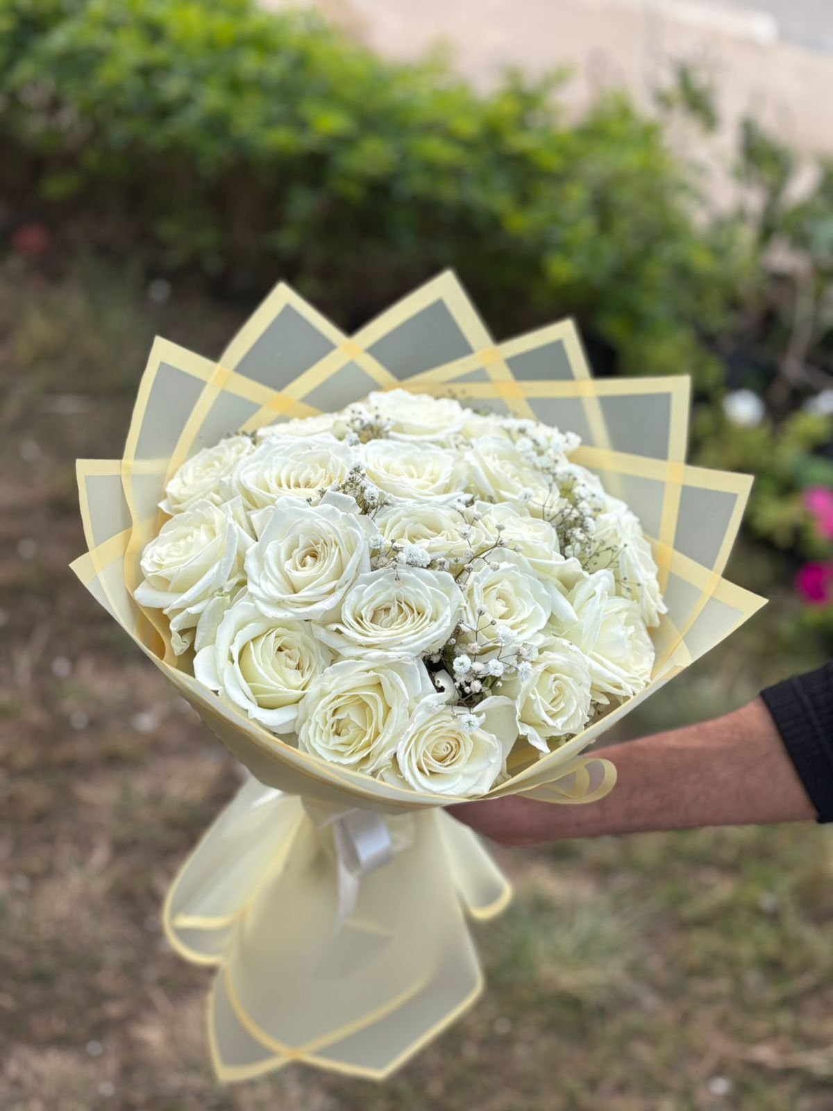 White Rose Gift Set – 20 Super White Roses with Baby Flowers & Imported Wrapping White Rose Gift Set – 20 Super White Roses with Baby Flowers & Imported Wrapping