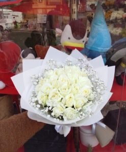 Alternative view of A25