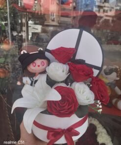 Alternative view of A66